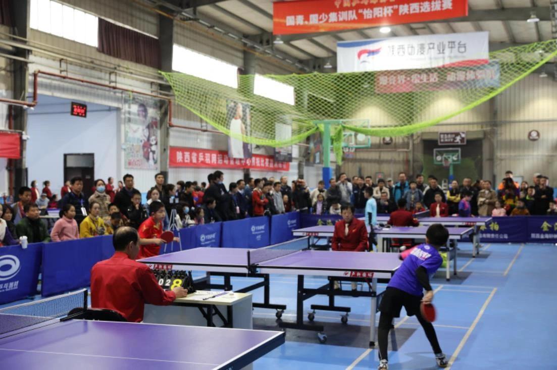 主宰绿茵场 主宰绿茵场