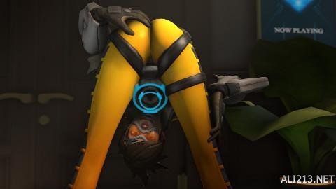 布扎比赛资 布扎比赛资